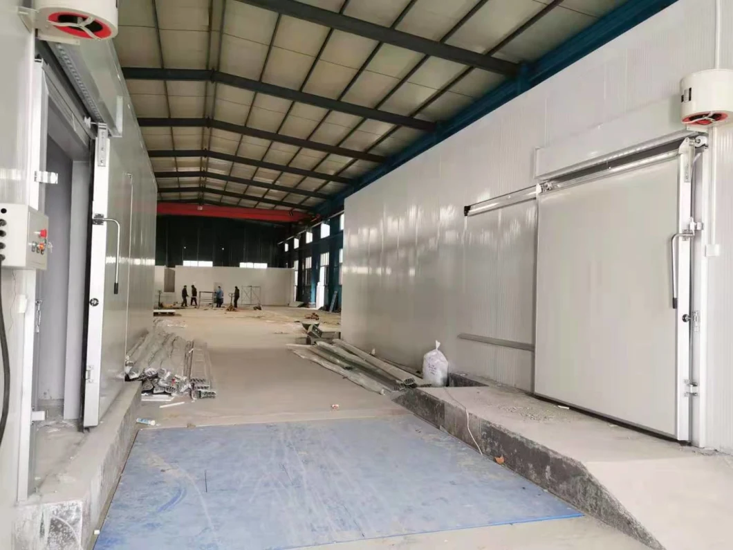 Cold Chambers Storage Cooling Room Cold Storage Chamber for Vegetables Fresh